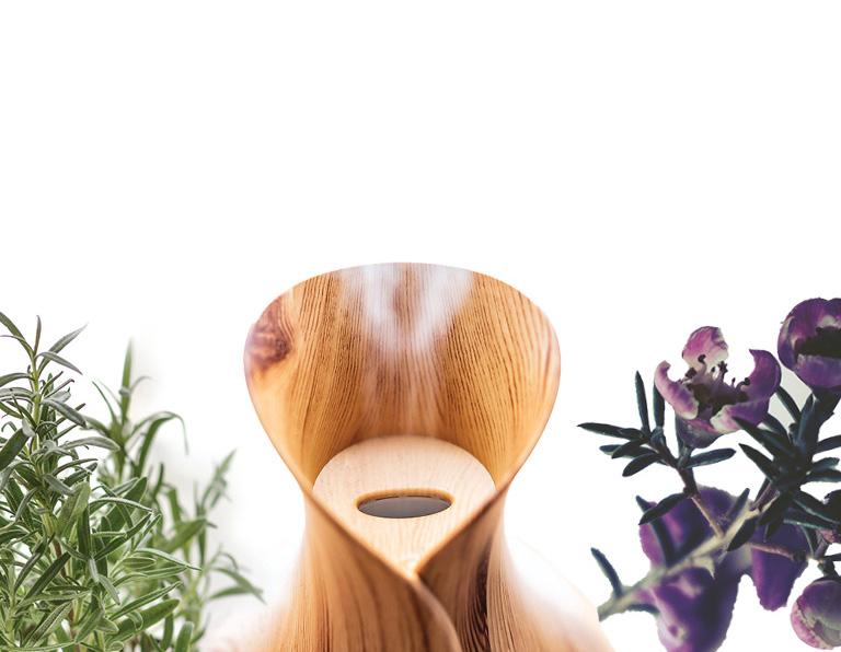 Best Essential Oils for Snoring and Sleep Apnea